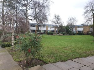 Communal Gardens- click for photo gallery